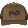 Buffalo Landscape