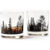 Forest Landscape