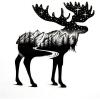 Moose & Forest