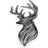 Deer Illustration