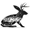 Jackalope