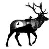 Elk & Bighorn