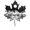 Leaf & Canoe