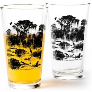 Black Lantern Themed Pint Glasses – National Park Designs for Craft Beer Enthusiasts and Home Bars – (Set of Two 16oz. Glasses) Unique Everyday Drinking Glasses & Glassware Set of 2 (Canyonlands)(Everglades)